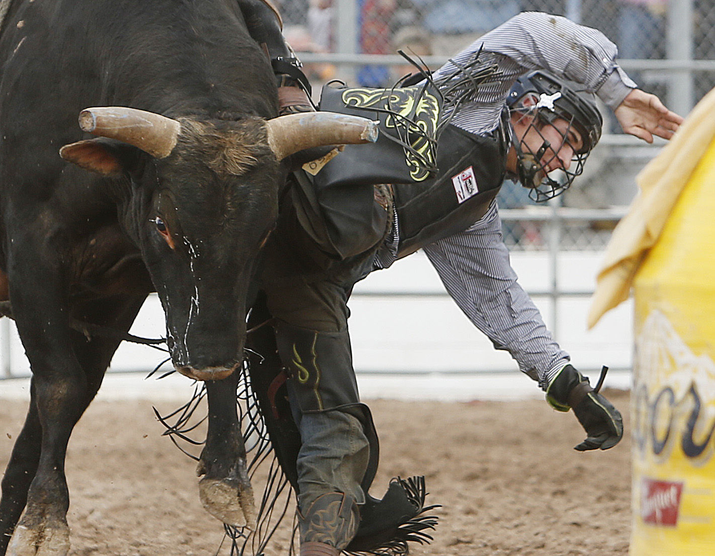 La Fiesta de los Vaqueros